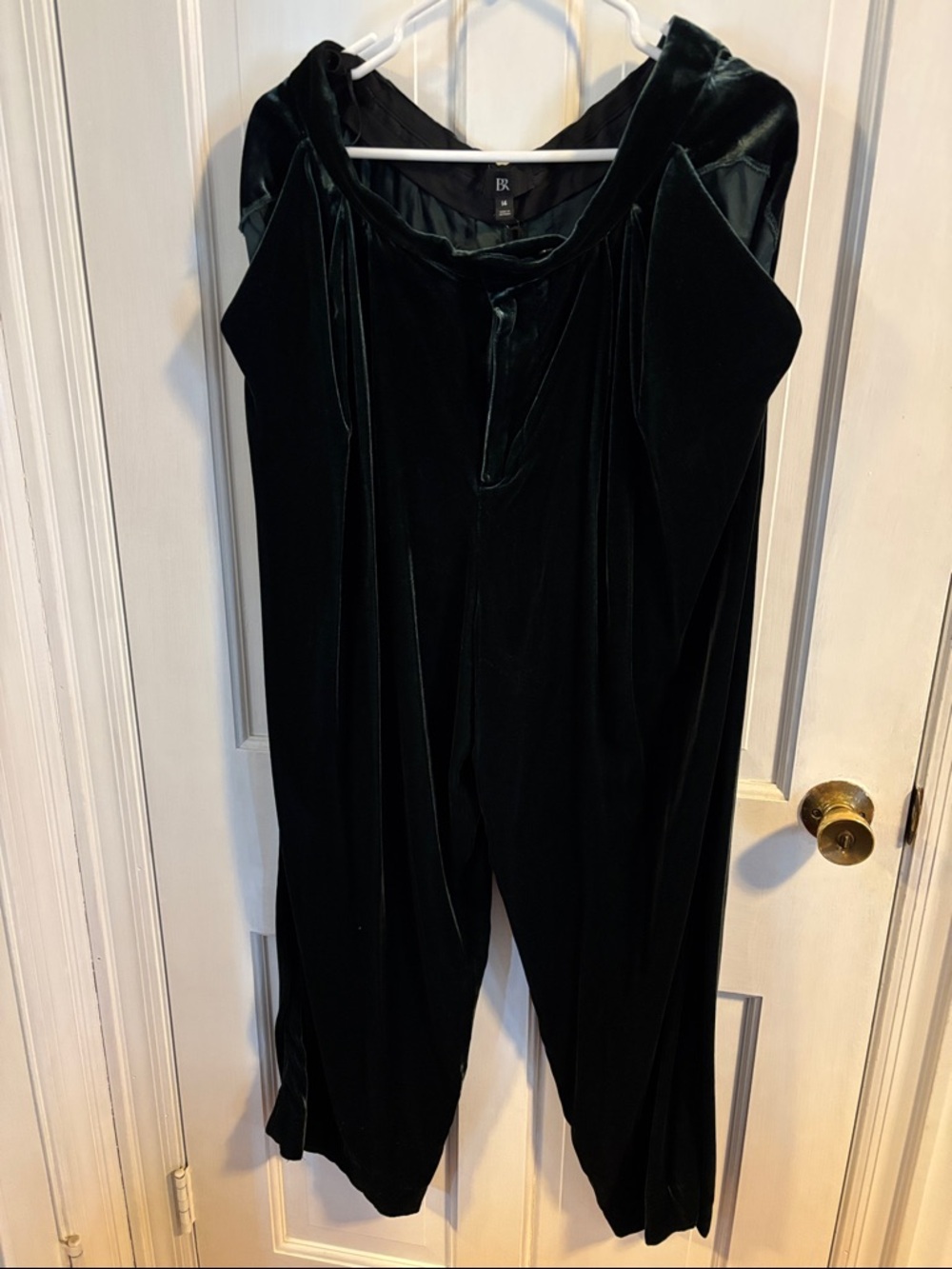 Banana Republic Green Velvet Wide-Leg Pleated Pants NWT